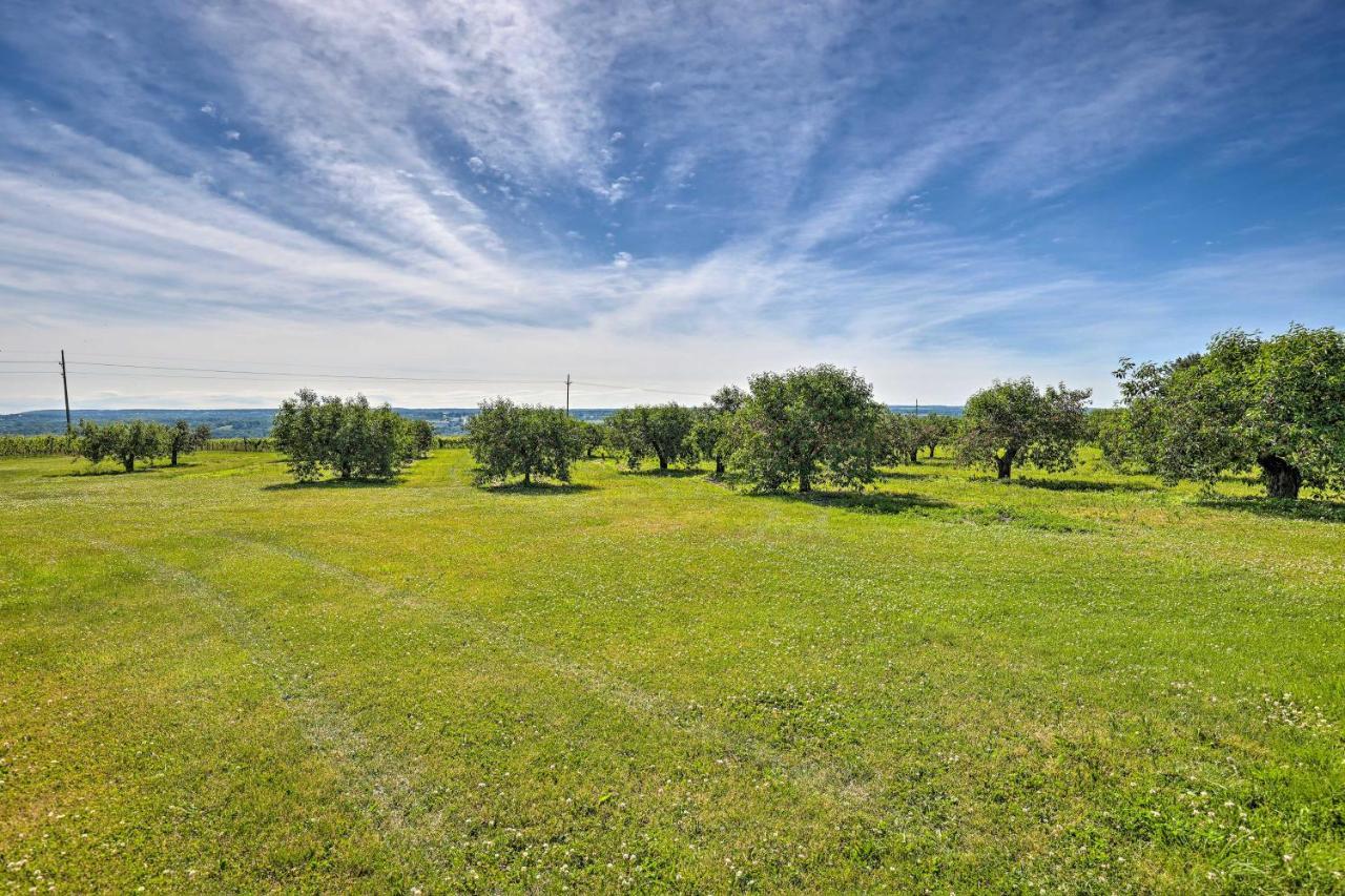 Finger Lakes Farm Retreat Walk To Wineries! Hector Екстер'єр фото