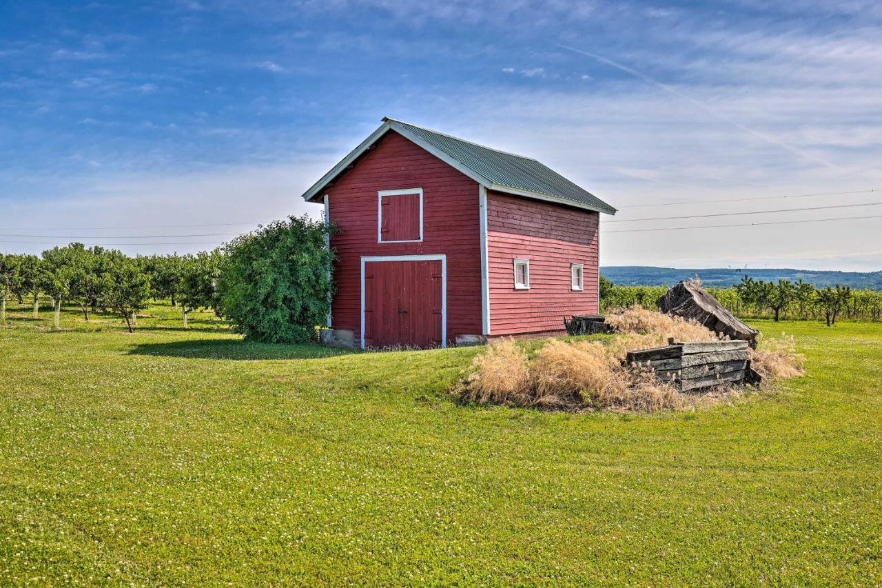 Finger Lakes Farm Retreat Walk To Wineries! Hector Екстер'єр фото