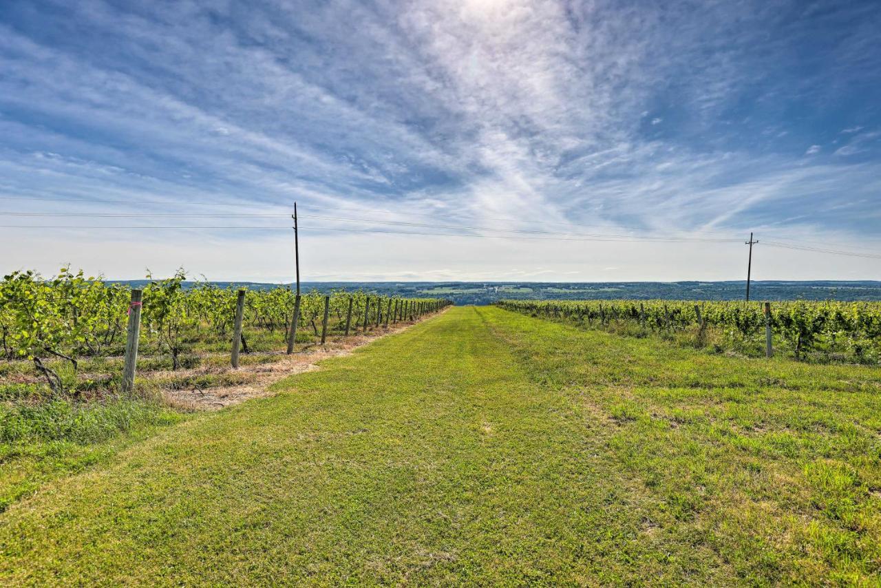 Finger Lakes Farm Retreat Walk To Wineries! Hector Екстер'єр фото